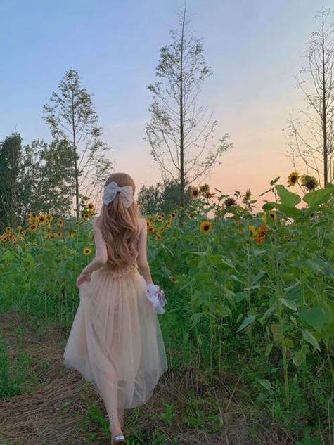 教练巴士模拟器