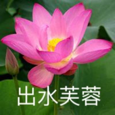 滚球体育app苹果下载最新版截图0